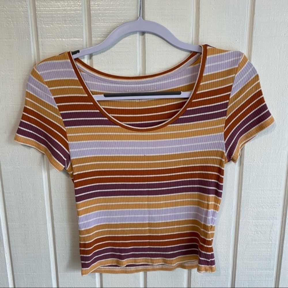Striped Short Sleeve American Eagle Cropped Tee